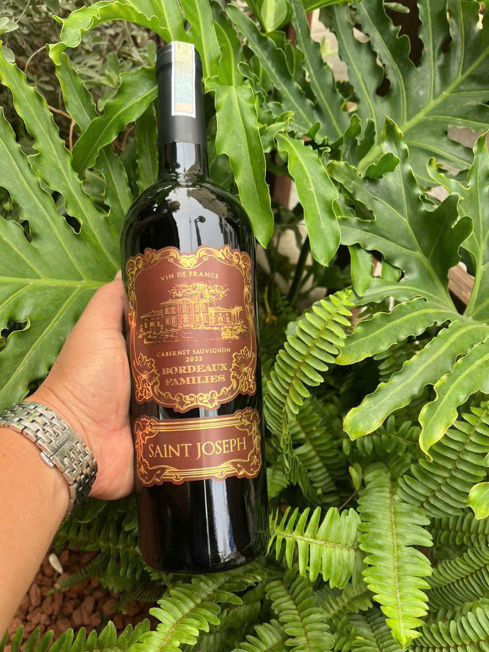 Rượu Vang Pháp Saint Joseph Bordeaux Families